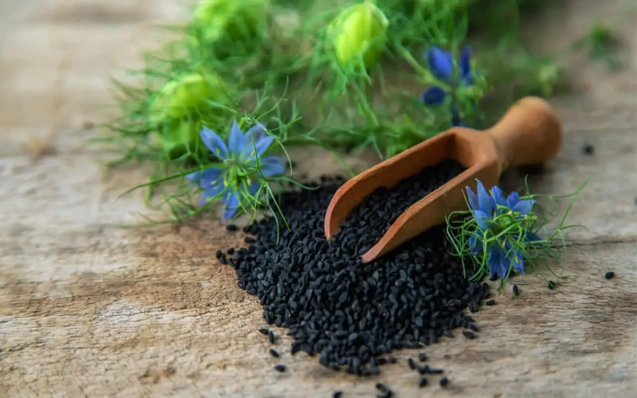 Nigella Sativa(kalongi Seeds)